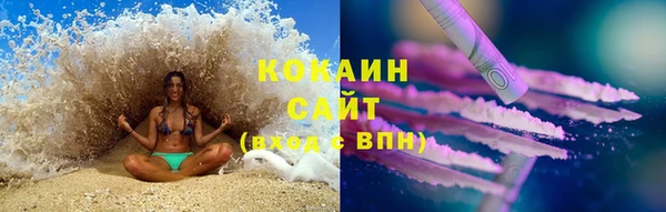 стаф Надым