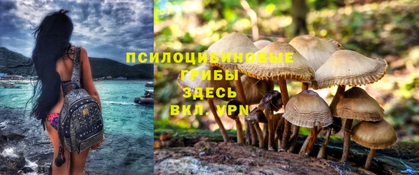 соль ск Михайловка