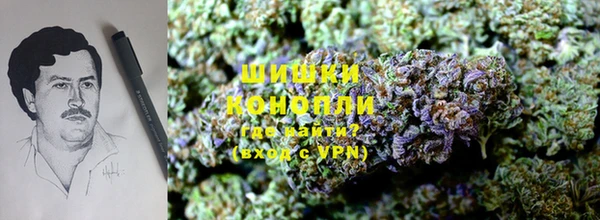 стаф Надым